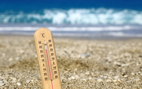 Il caldo porta parassiti attivi anche d’inverno