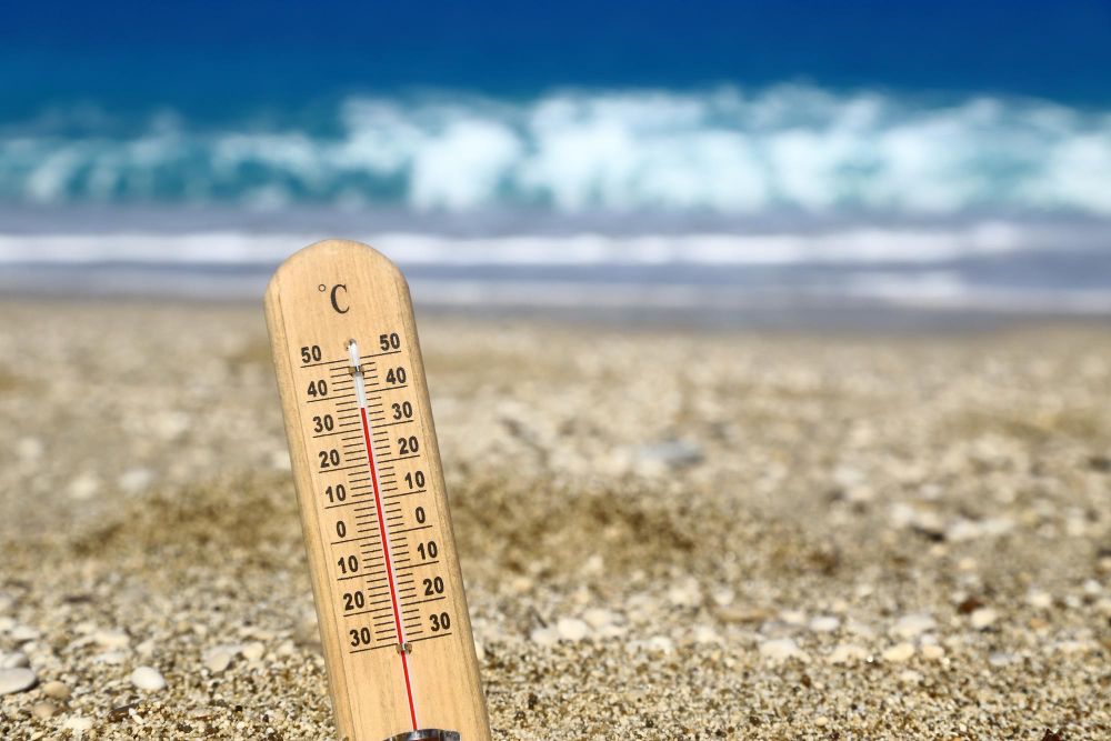 Il caldo porta parassiti attivi anche d’inverno