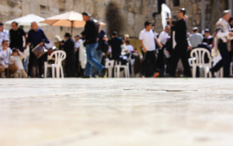 Mostre, concerti e feste: gli appuntamenti del weekend