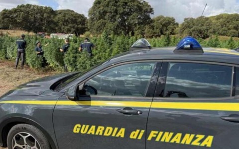 Truffa finanziaria, sequestrati beni per 1,6 milioni nel Torinese