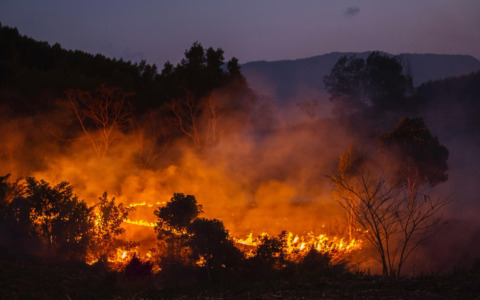 Fiamme in una legnaia, esplode una bombola: nessun ferito