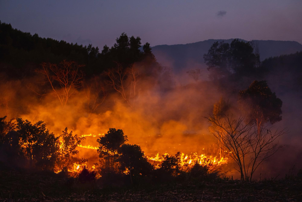 Fiamme in una legnaia, esplode una bombola: nessun ferito