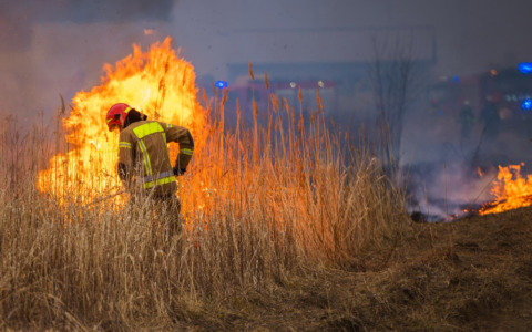 Furgone in fiamme durante la marcia, nessun ferito