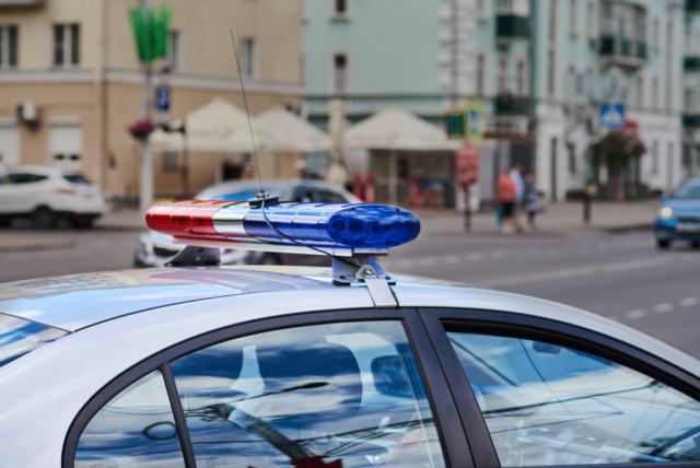 Trenta gatti e tre cani sequestrati in un alloggio a Moncalieri