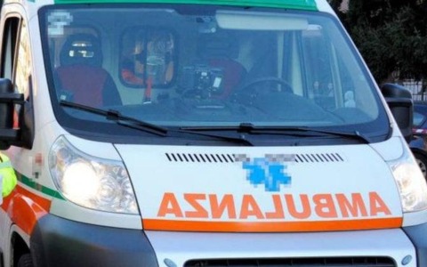 A San Giorgio Canavese il sindaco salva una gatta dalla palma