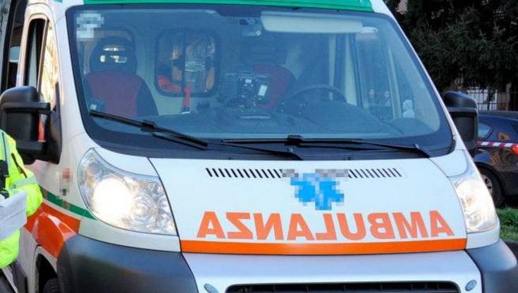 A San Giorgio Canavese il sindaco salva una gatta dalla palma