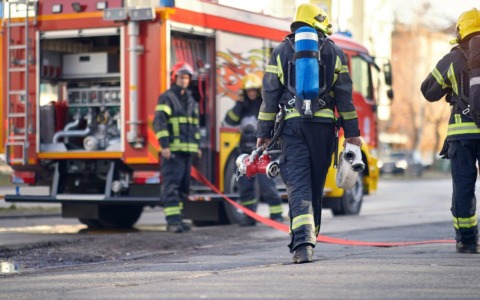 Due cani liberati da un tombino dopo l’intervento dei soccorritori