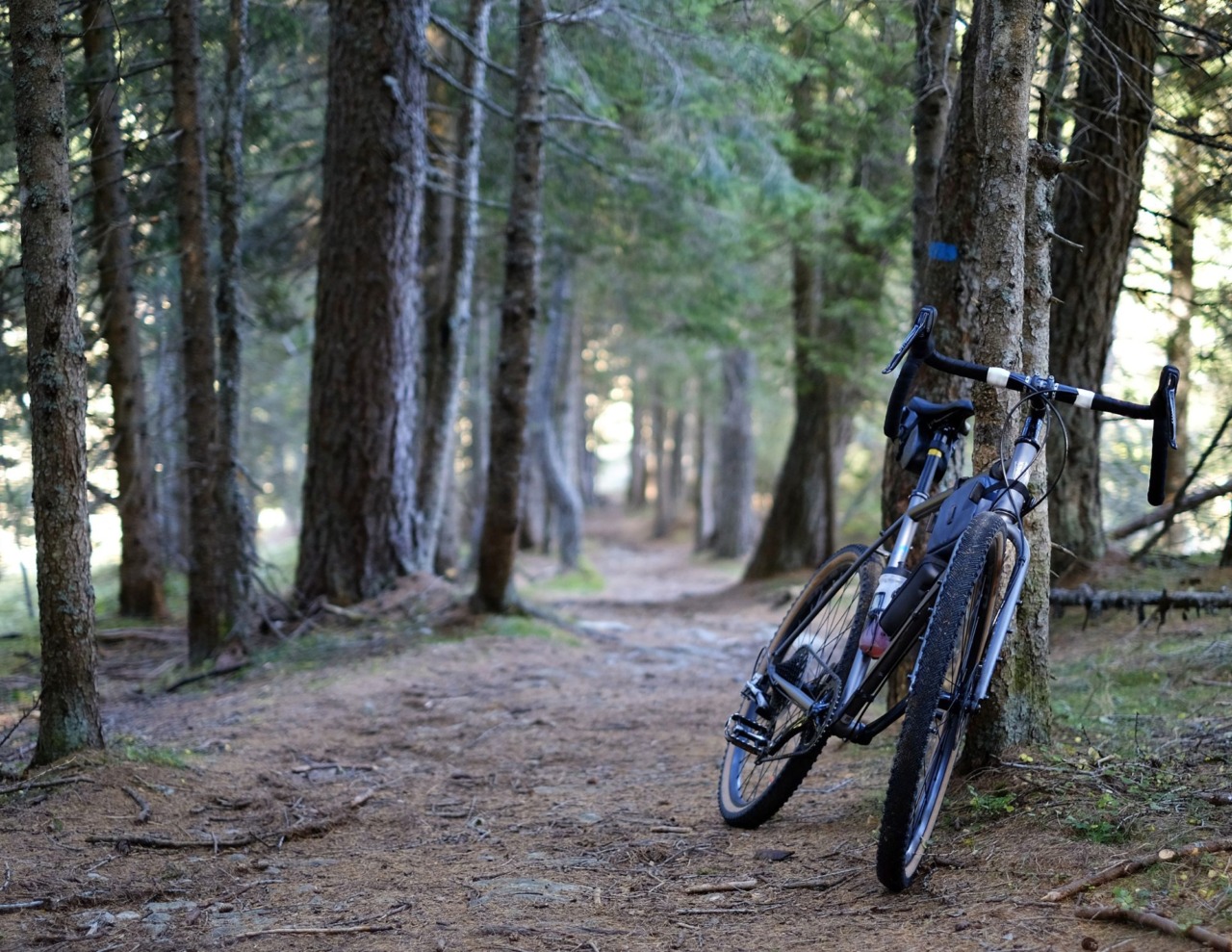 Caduta in mountain bike nei boschi di San Germano Chisone