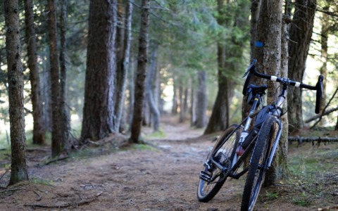 Caduta in mountain bike nei boschi di San Germano Chisone