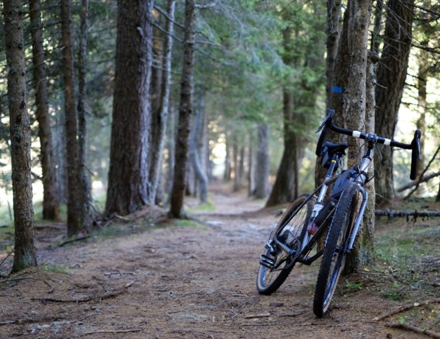 Caduta in mountain bike nei boschi di San Germano Chisone