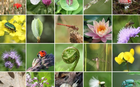 Terra Madre porta a Torino pace, biodiversità e voci internazionali