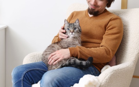 Affitti a Torino, trovare casa con un animale resta difficile