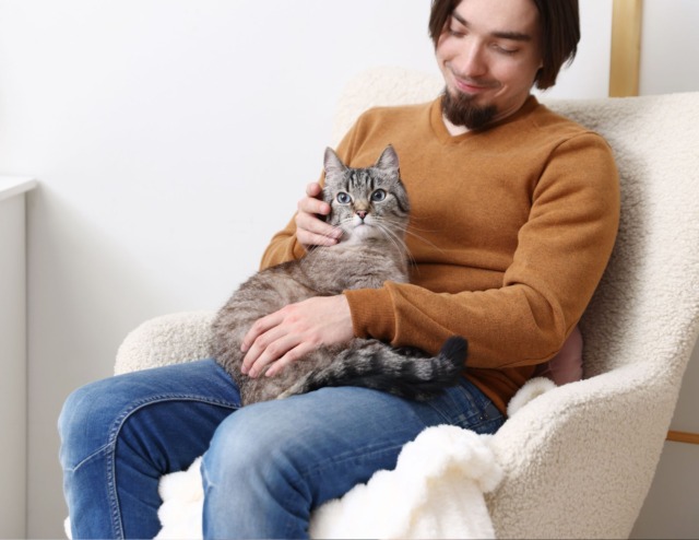 Affitti a Torino, trovare casa con un animale resta difficile