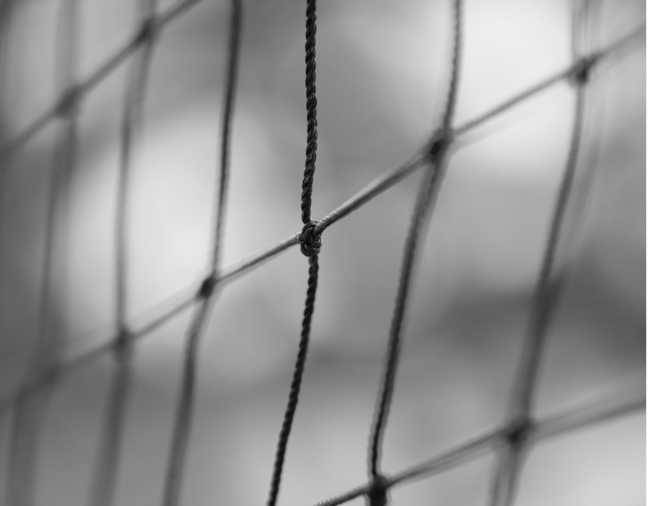 Genitori ultrà banditi nel Torinese dopo gli insulti a una gara di volley